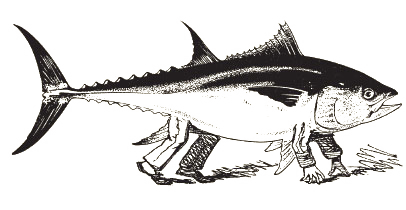 poisson.jpg